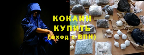 индика Богородицк