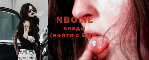 индика Богородицк