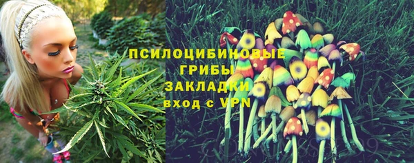 твердый Бронницы