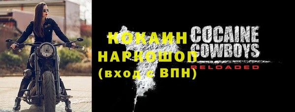 амф Бородино