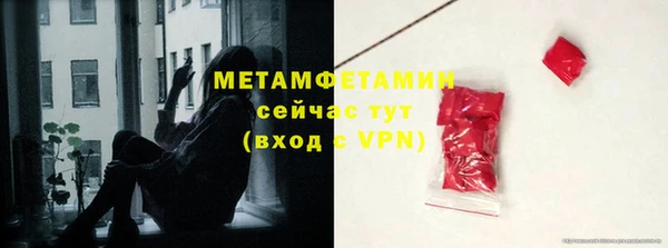 индика Богородицк