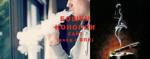 индика Богородицк