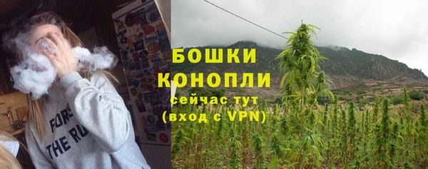 индика Богородицк