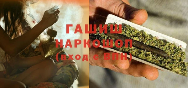 индика Богородицк