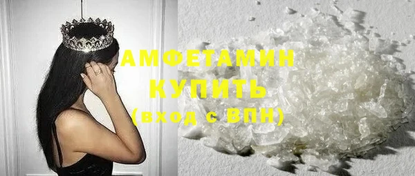 амф Бородино