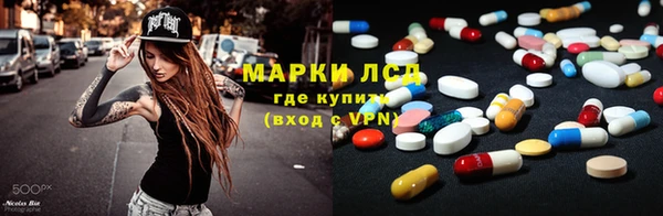 индика Богородицк