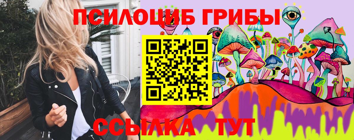 Псилоцибиновые грибы мицелий Гусев