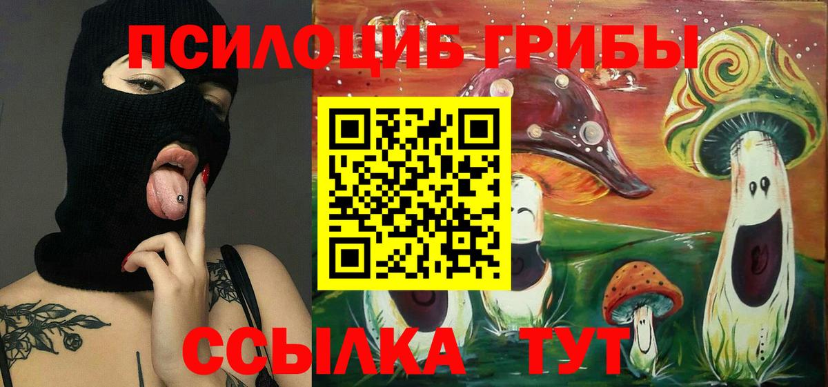 Галлюциногенные грибы Magic Shrooms  Галлюциногенные грибы мицелий  Гусев  Вход с VPN 