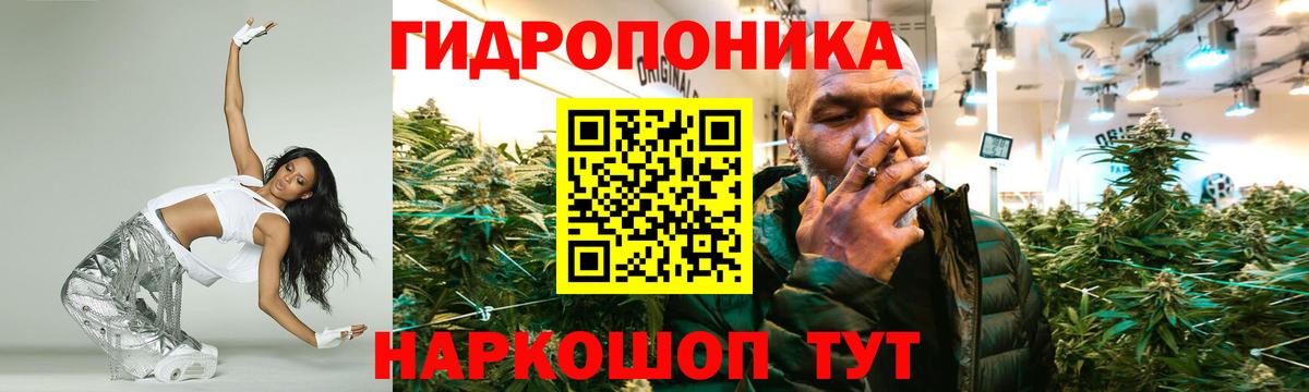 Гусев  Конопля ГИДРОПОН  Каннабис семена  Вход с VPN 