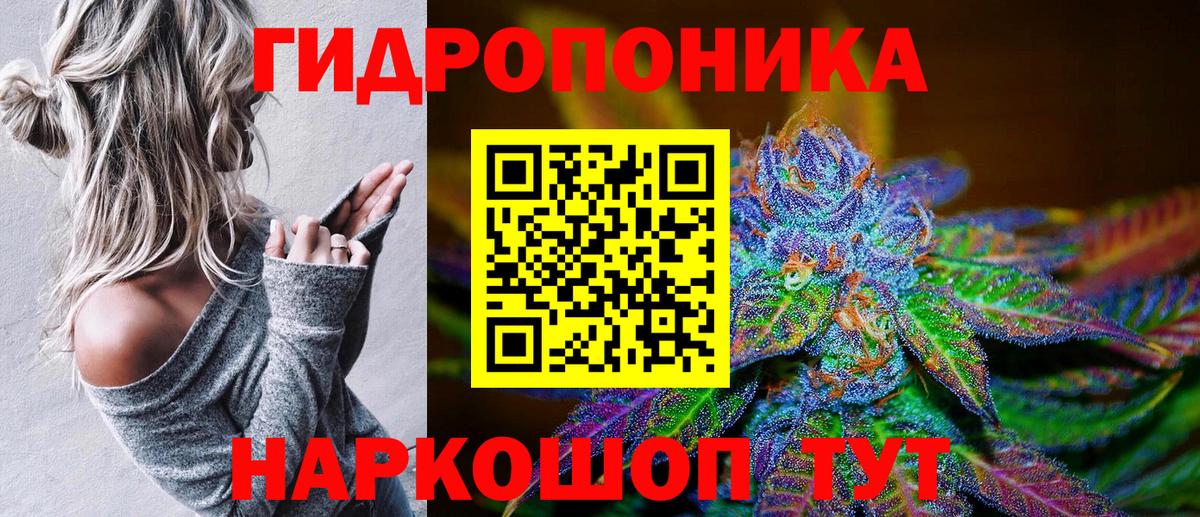 Конопля план Гусев
